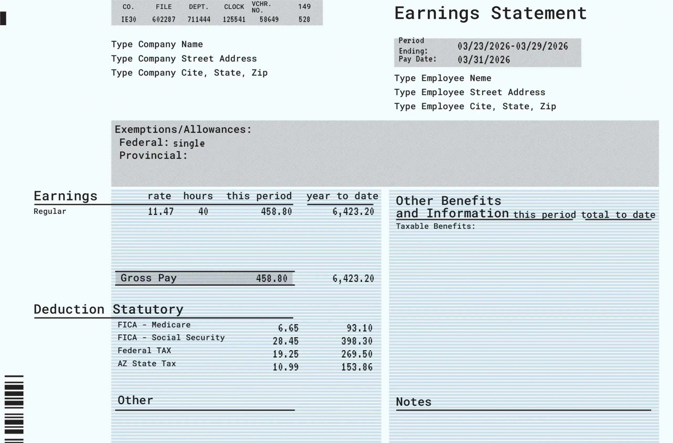 Professional Detailed Paystub