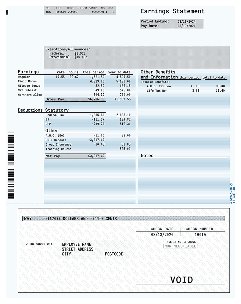 Professional Detailed Paystub