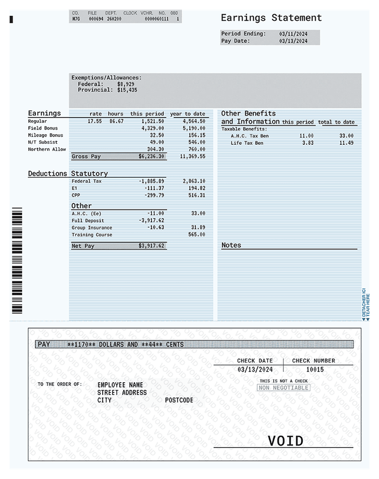 Professional Detailed Paystub