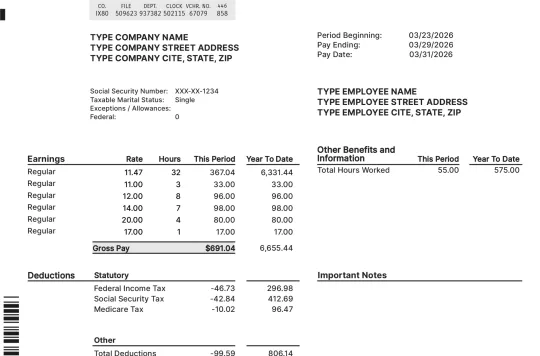 Modern paystub template preview