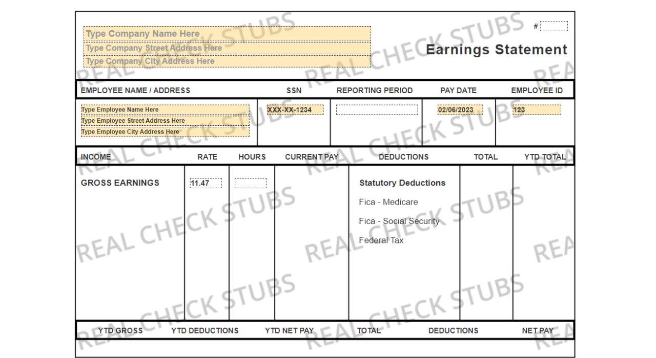 editable-pay-stub-templates-customizable-check-stubs-download