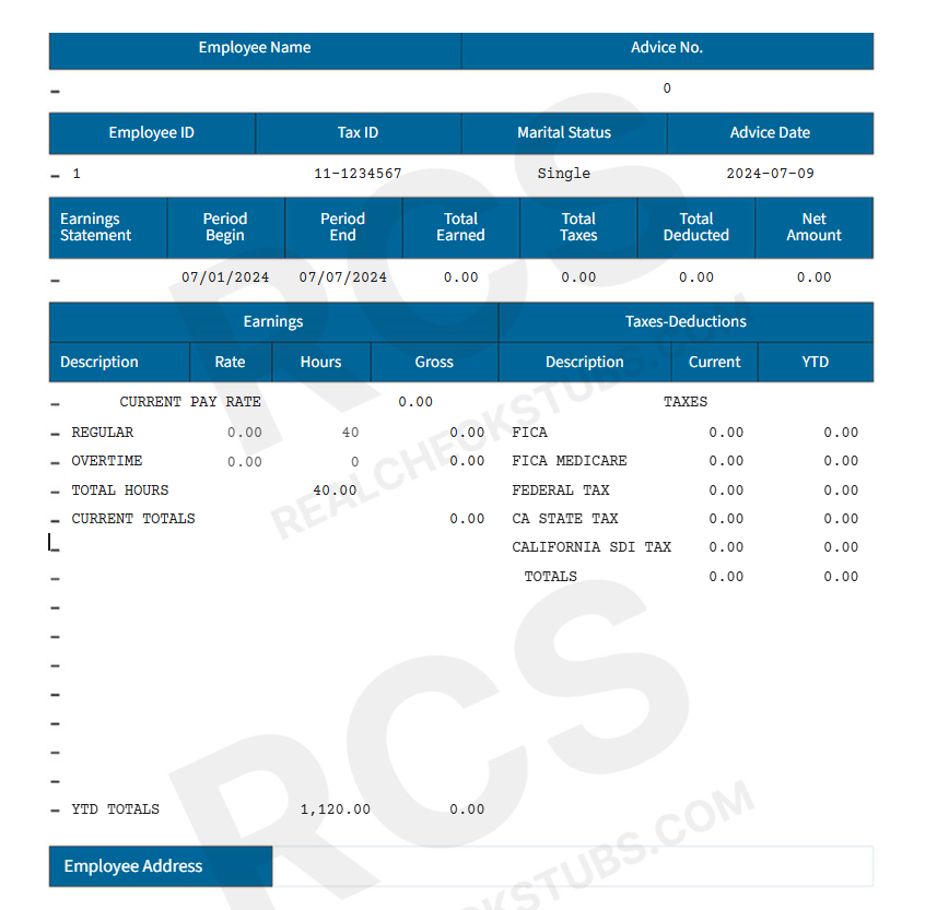 Modern Paycheck Template 5