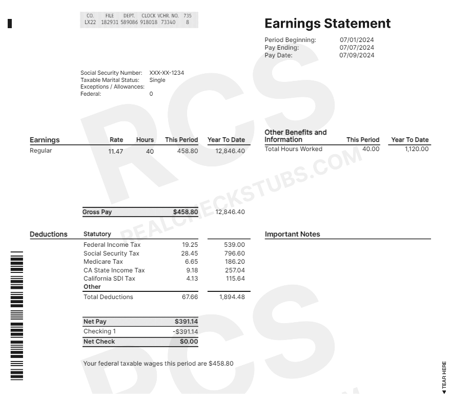 Advanced 7 Paystub Template